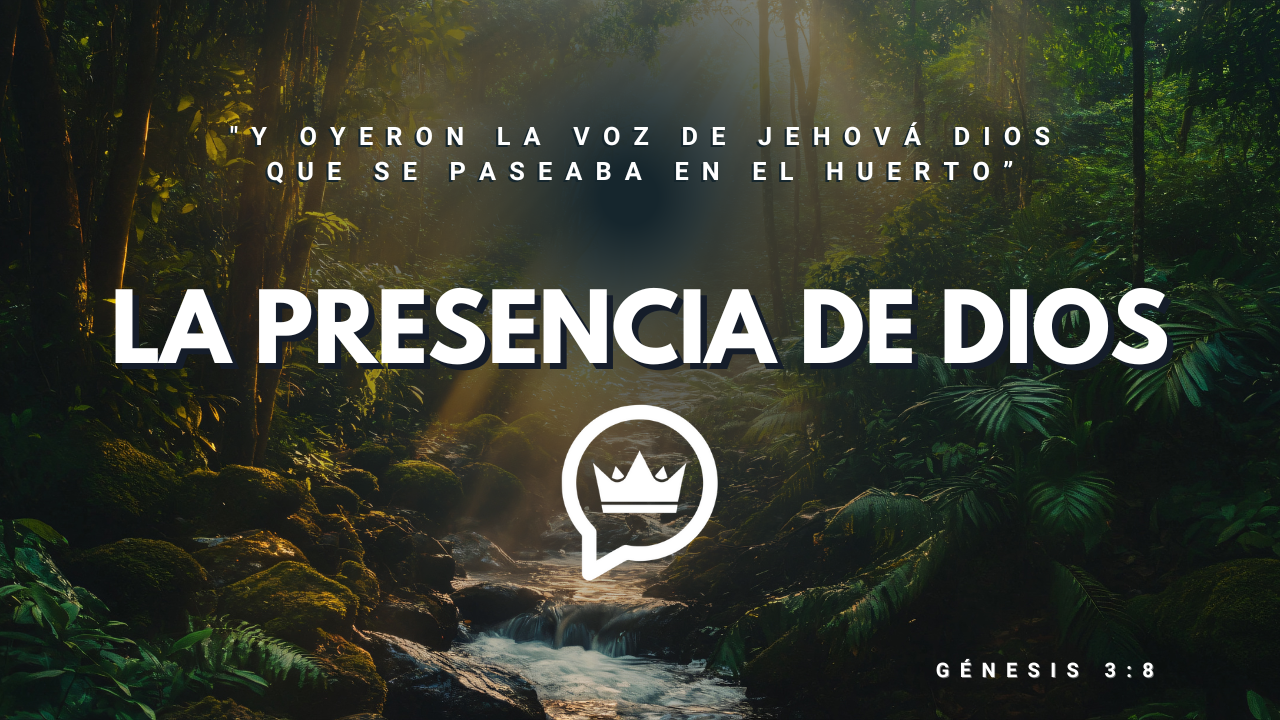 portada youtube